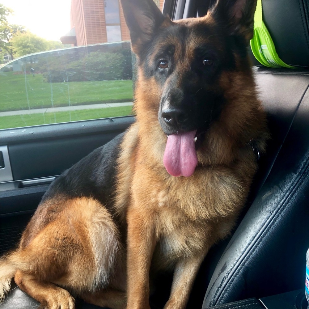 Meet your Posher, Yekaterina